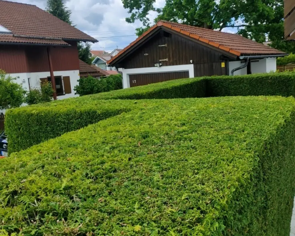 0bd8e7ab-e0f0-42bb-a339-2db1701569df 1