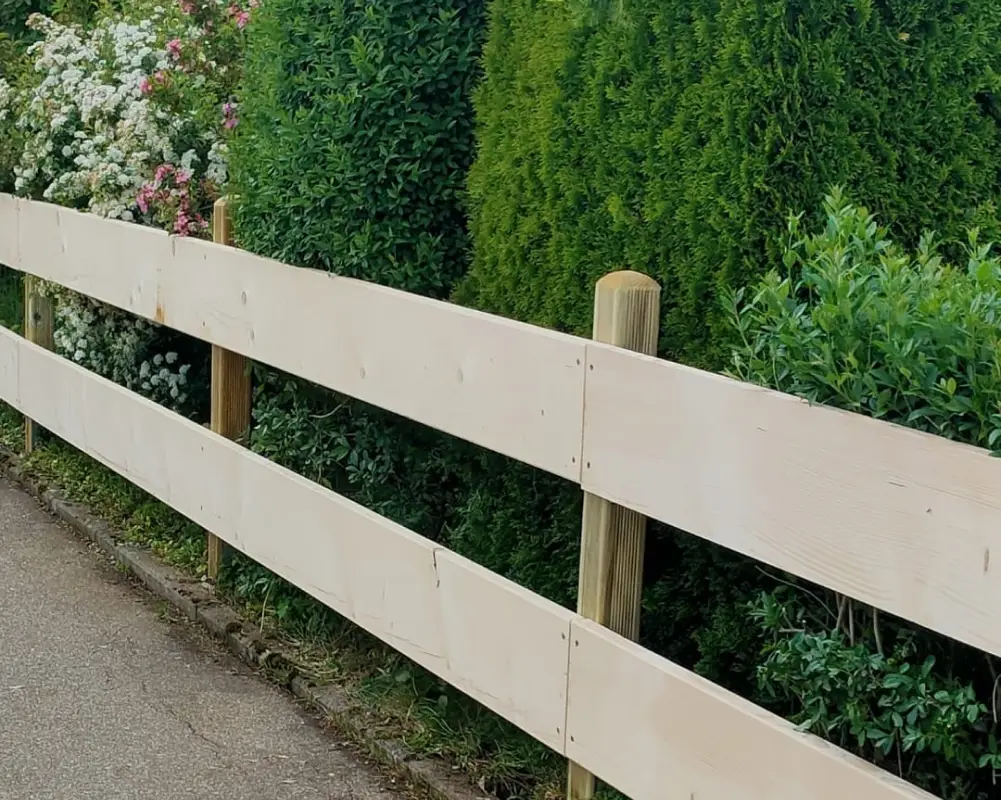 50219b6a-e767-4262-8218-4900b58fc69e 1