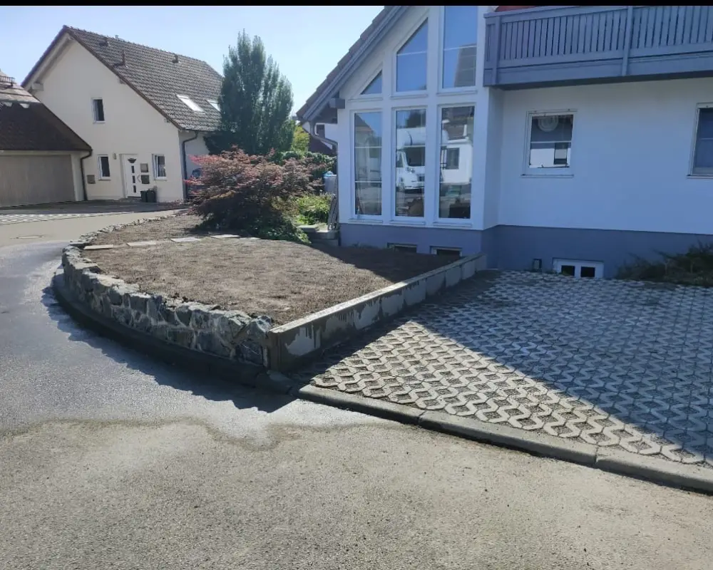 8b62606d-ff78-48aa-b65e-eb2388e24ddc 1