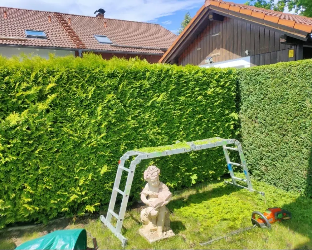 9b625a59-0c13-4934-a21a-547daaa406ab 1