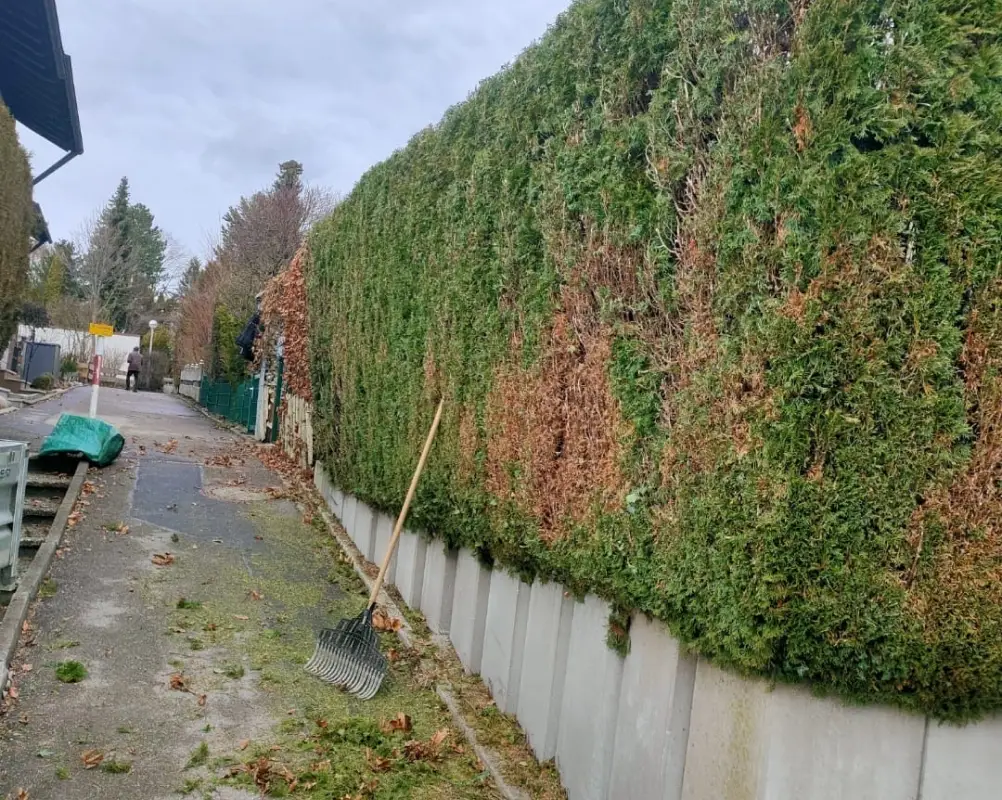 a953351d-e953-4be1-8474-6d8ed1043027 1