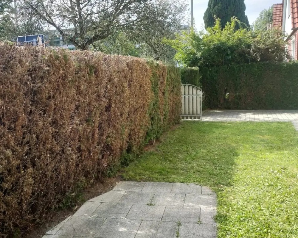 c9ddaa5d-c8b6-4a61-a64f-0ab70e25191e 1